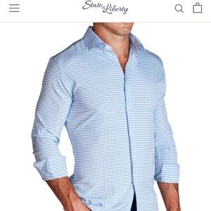State & Liberty Light Blue Gingham Dress Shirt